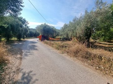 img38f14327-83e8-49ad-8b6d-b14af75b56b4