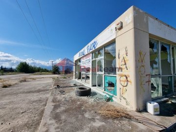 img115e74d5-a247-444f-aebc-ad73bcb2bc3d