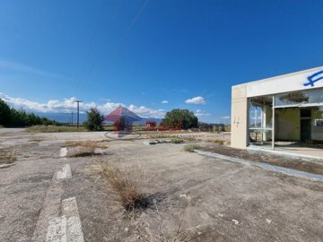 img2673b6d6-3001-423c-89c8-74c9cd09bdd4