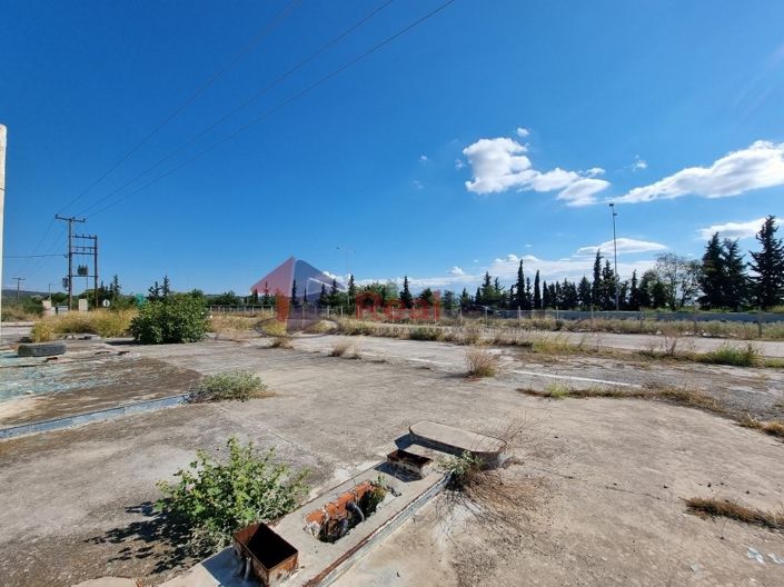 Image No.16-Propriété à vendre à Nea Agchialos