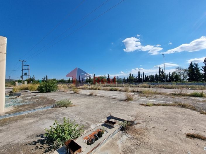 Image No.18-Propriété à vendre à Nea Agchialos