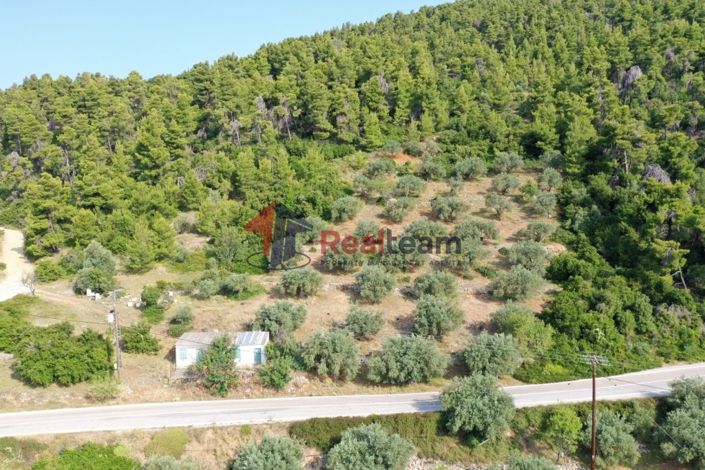 Image No.16-Propriété à vendre à Alonnisos