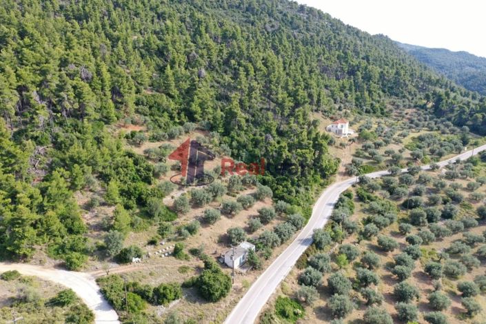 Image No.4-Propriété à vendre à Alonnisos