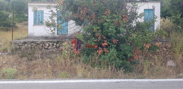 Image No.5-Propriété à vendre à Alonnisos