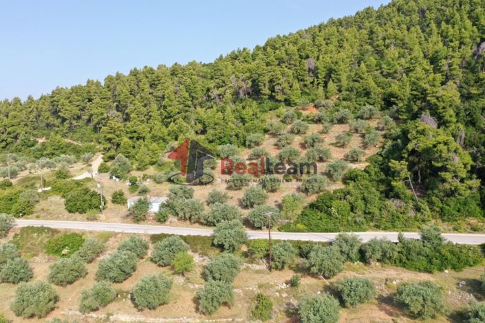 Image No.8-Propriété à vendre à Alonnisos