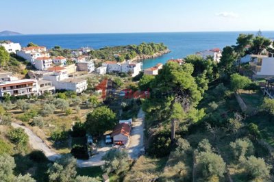 img2a16a1a8-7c7c-4465-8518-21bf6145e695