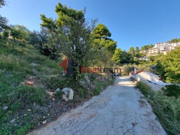 img2408e675-3c37-404b-9807-36c2fa9fb78d