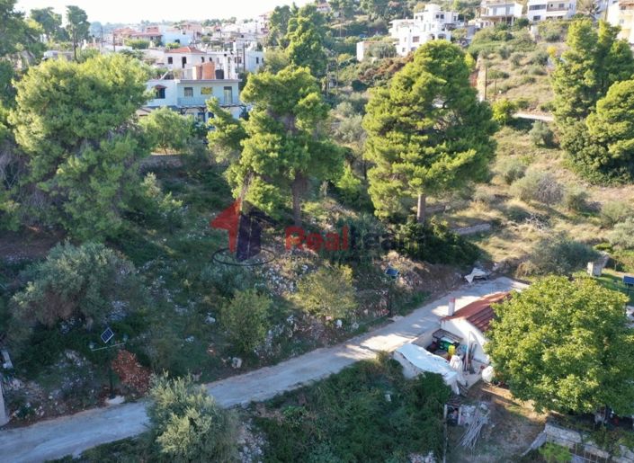 Image No.5-Propriété à vendre à Alonnisos