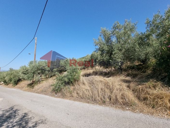 Image No.10-Property for sale