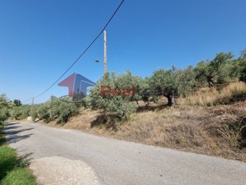 img724d1db7-71a9-4ece-b28d-9a26e8ee3923