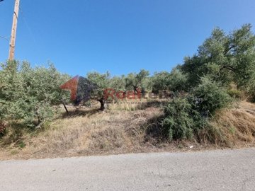 img3c30200a-90dc-4194-bd0b-9004ed19fb92