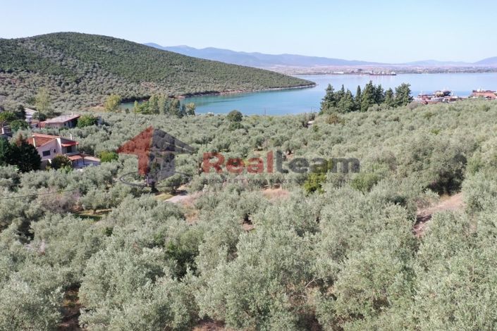 Image No.15-Property for sale