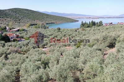 img3ec489ae-3303-4f20-9d84-7595bfdf904a