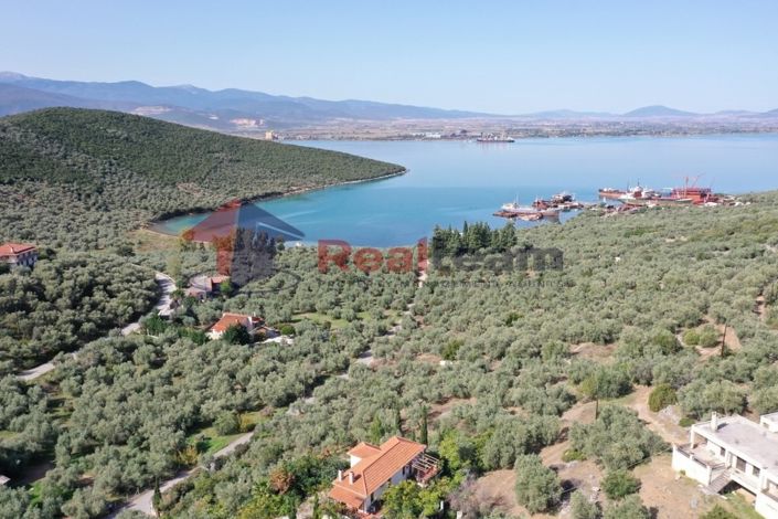 Image No.16-Property for sale