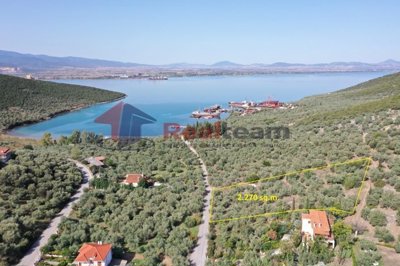 img91620f29-6772-4c51-9c33-59bffc6591f5