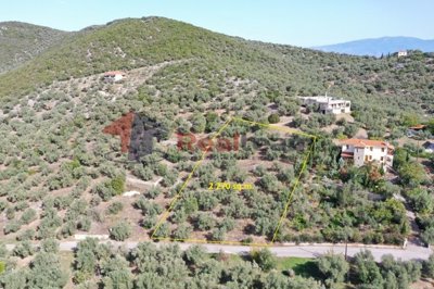 imge353422e-f3cf-4cd3-96c1-337405ce759e