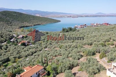 imgd99227b8-4ee8-4c3a-8de3-3038dcf0cb9b