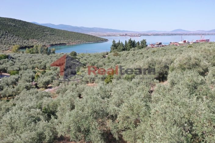 Image No.6-Property for sale