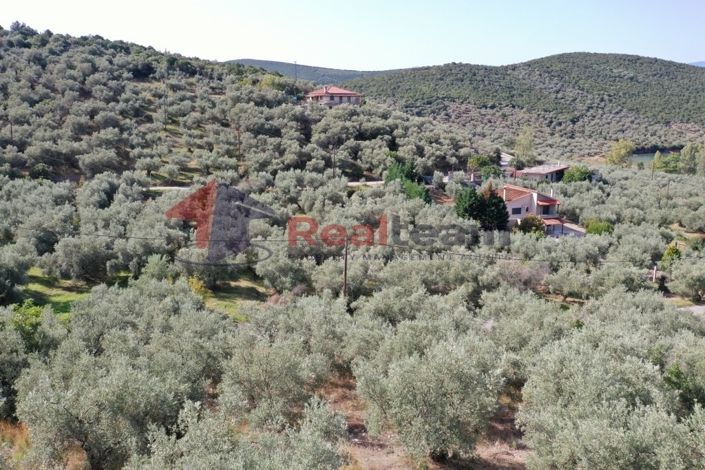 Image No.7-Property for sale