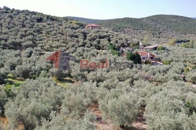 img039a17ed-9b4f-48b7-9f7b-ba3038b0c811