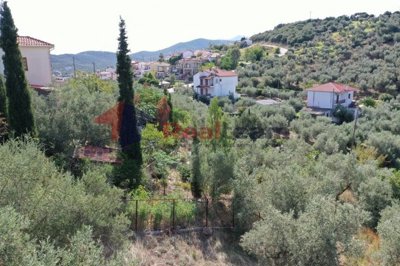 img7b563975-4d41-4363-81cc-57b4909c02da