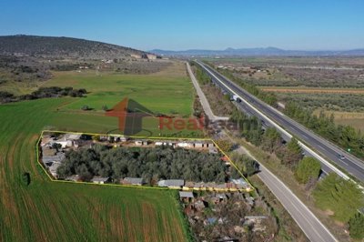 img4147306a-e2e9-43a6-aa6b-edefedda9348