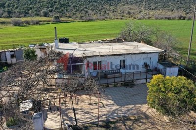 img8ad6fd9a-8943-460f-b2e1-1d3ffad3aee6