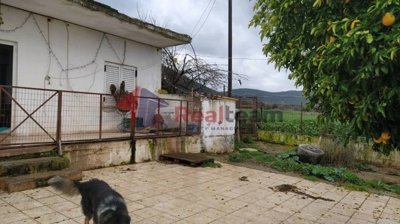 img3a4bb566-6663-455e-9085-6cab67af8acf