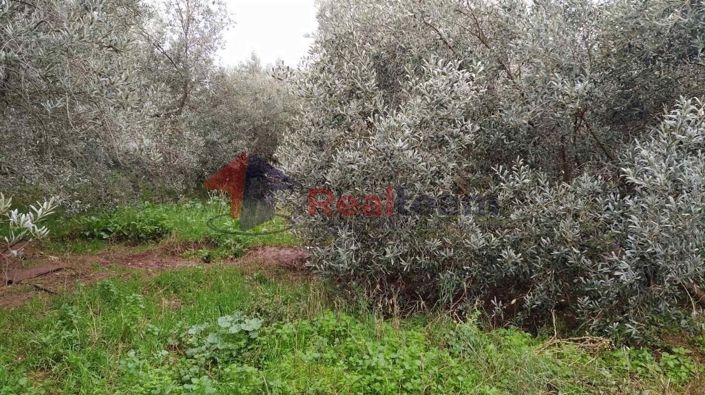 Image No.24-2 Bed Property for sale