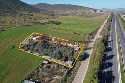 imgbe548d83-0ddd-4c9c-8794-119a46226b14