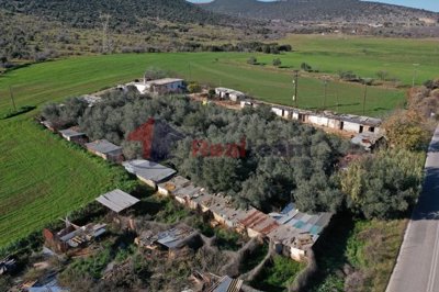 imgd46753c7-262e-4407-a382-225cae00a79b