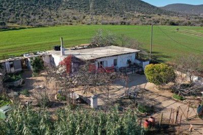 img939658fe-e5c0-4c61-a543-c2af5e53824c