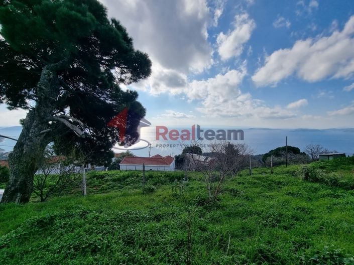 Image No.11-Propriété à vendre à Glossa