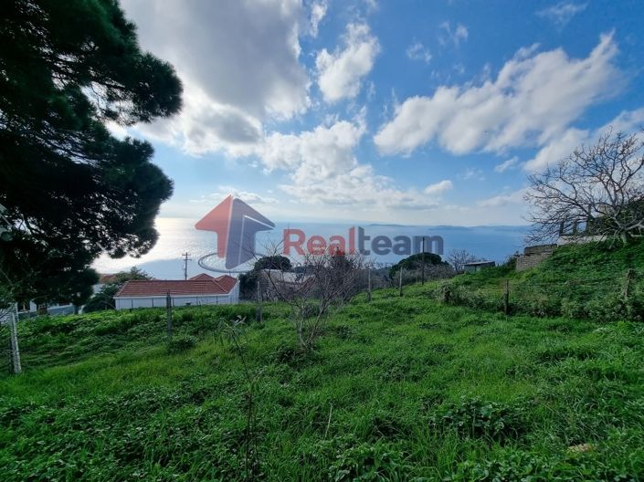 Image No.12-Propriété à vendre à Glossa