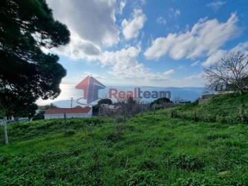 img1cf25ed3-d5cd-4bea-9a2e-aa887ace24be