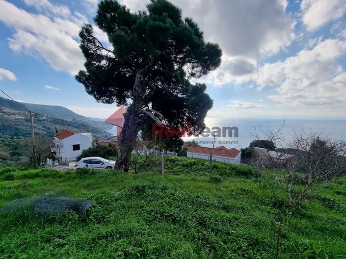 Image No.13-Propriété à vendre à Glossa