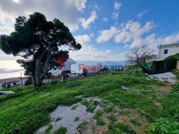 imge841ae7a-bcf9-4a54-b6c3-984d48a243fc