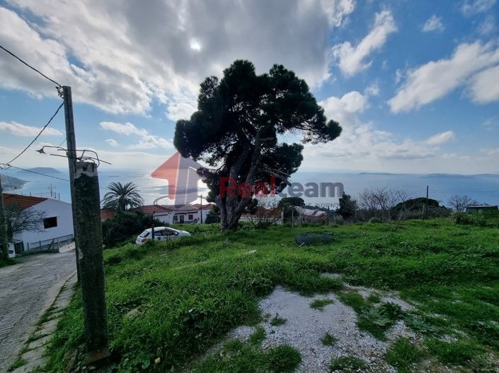 Image No.4-Propriété à vendre à Glossa