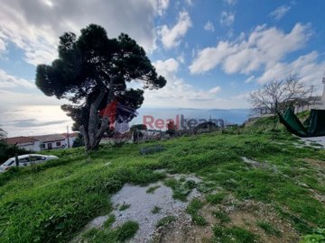 img74c99f05-4bc0-4c7e-a6eb-fb85b61986da