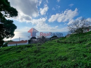 img63401bfd-6134-412d-8ead-f8ac19f19b4d