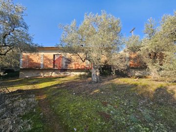 img7c3334ef-c49e-4a94-b68c-4dd1b2199f5c