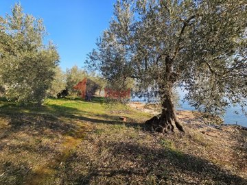 imgfc751e9b-8282-444e-b6be-a5e235508b43