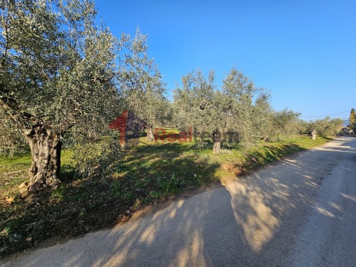 Image No.11-Propriété à vendre à Sourpi