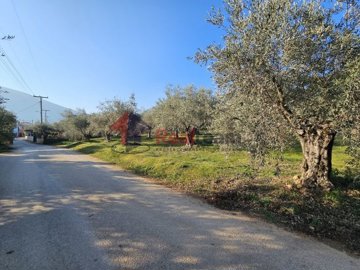 imga36209e5-a475-4284-9603-887660dd0c39