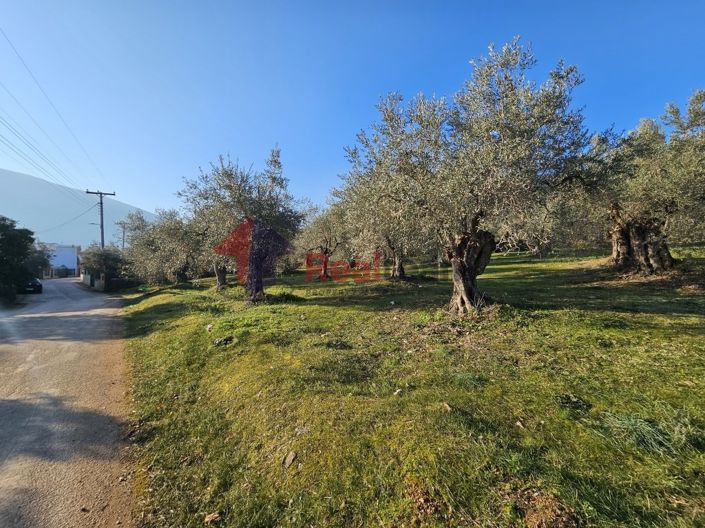 Image No.18-Propriété à vendre à Sourpi