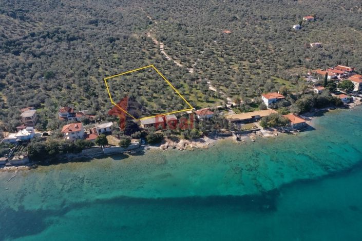 Image No.4-Propriété à vendre à Sourpi