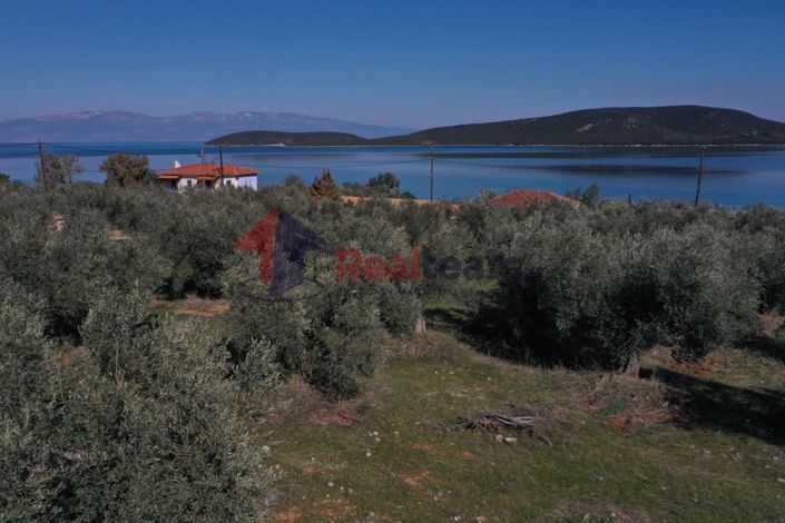 Image No.7-Propriété à vendre à Sourpi