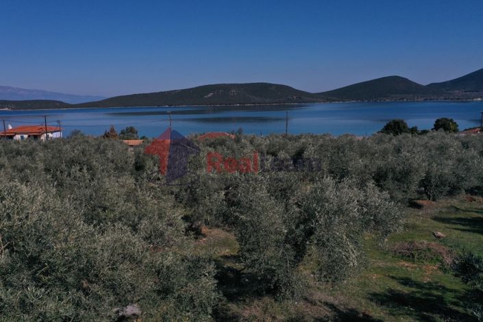 Image No.8-Propriété à vendre à Sourpi