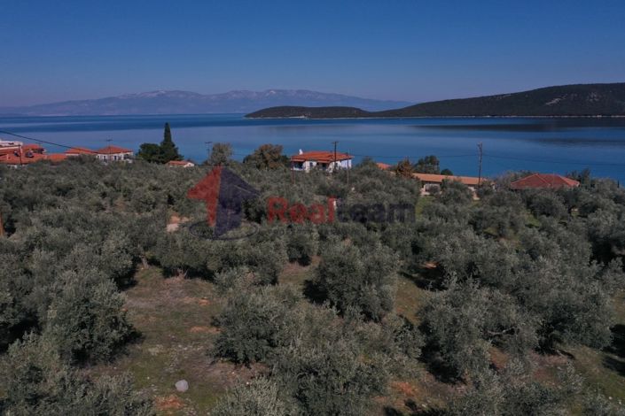 Image No.9-Propriété à vendre à Sourpi