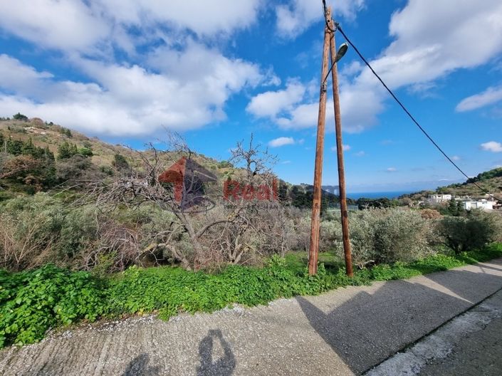 Image No.10-Propriété à vendre à Glossa